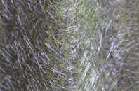 Roxburgh fibreglass roof work